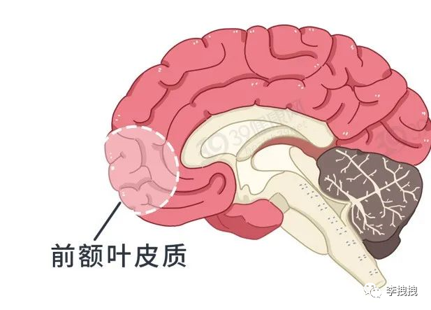 图片[11] - 在算法中你是好色之徒｜每日科普 - 无忧黑科技